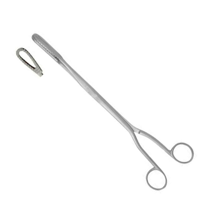 Bergh Cilia Forceps, Horizontal Serrations, 3 1/2" (8.9 Cm)